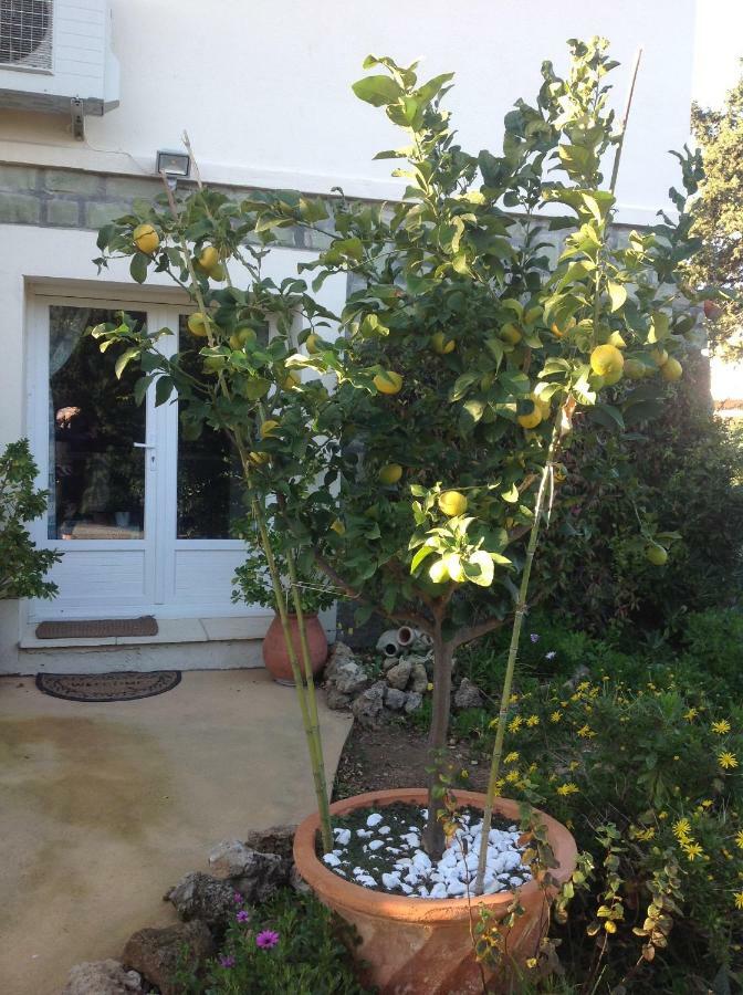 Rez De Villa Pebrier Frejus Exterior photo